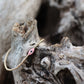 Pink Evil Eye Bracelet