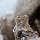 Scattered Crystal Bracelet
